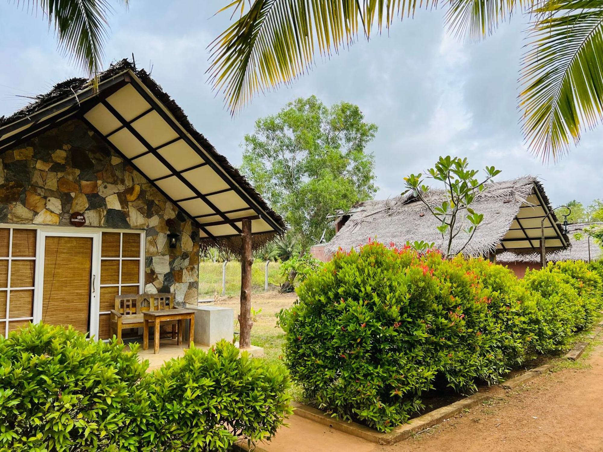 Coco Village Hotel Chilaw Luaran gambar
